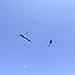 hulk_chopper-roof-20.jpg