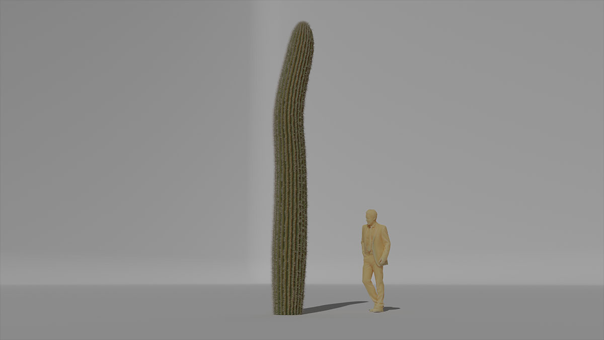 Blender - Saguaro - Geometry Nodes