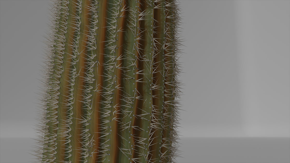 Blender - Saguaro - Geometry Nodes