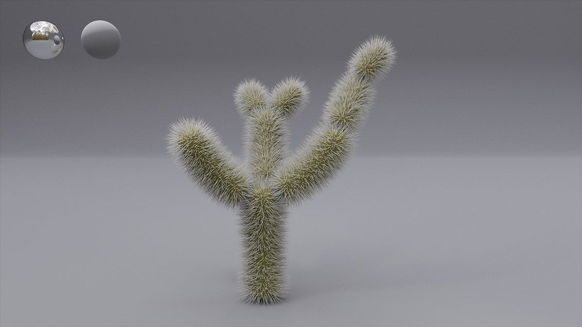 Blender - Cholla Cactus - Geometry Nodes