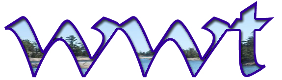 website branding