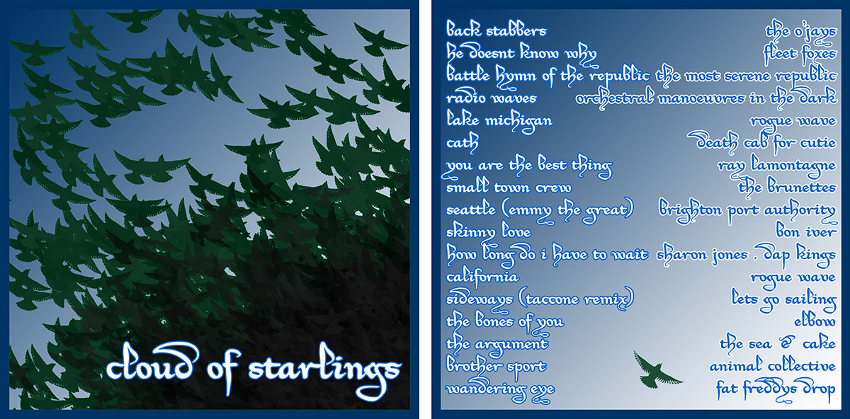 liner notes - cloud of starlings
